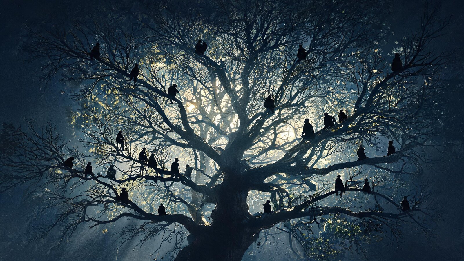 Branching in the many-worlds interpretation (conceptual illustration)
